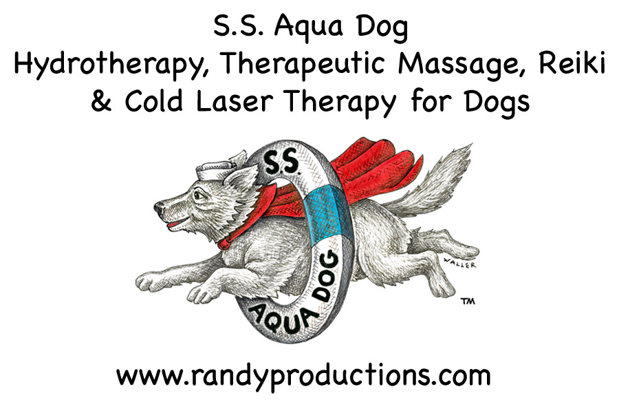 S.S. Aqua Dog Logo